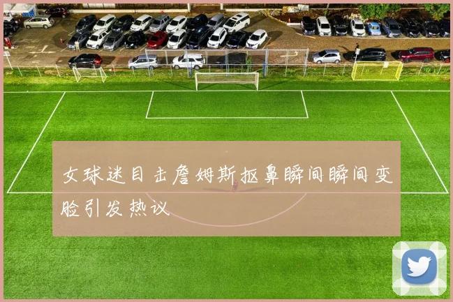女球迷目击詹姆斯抠鼻瞬间瞬间变脸引发热议