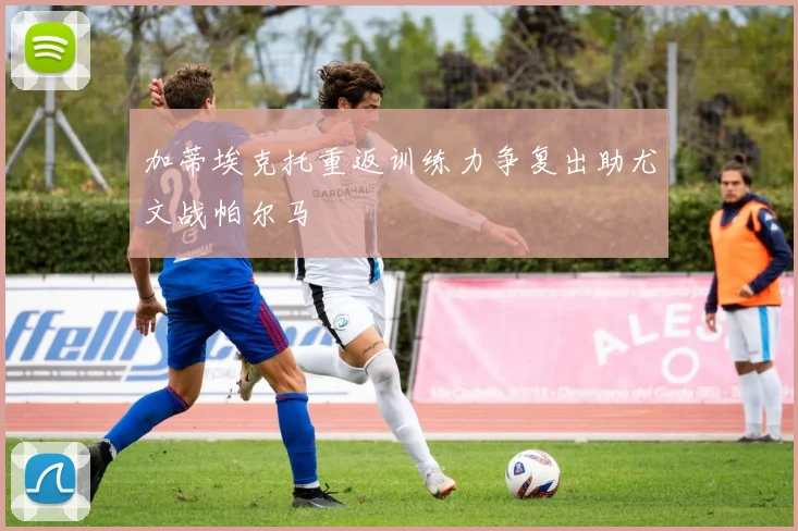 加蒂埃克托重返训练力争复出助尤文战帕尔马