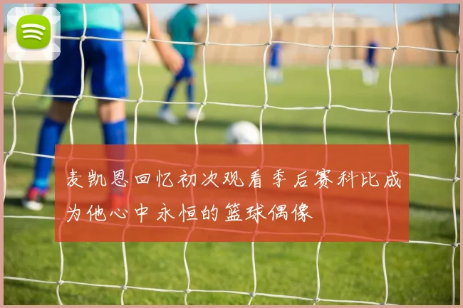 麦凯恩回忆初次观看季后赛科比成为他心中永恒的篮球偶像